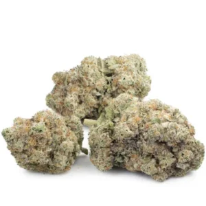 Berry-Pie-300x300-1.webp Berry Pie