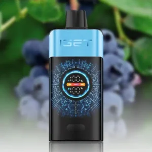 IGET-ONE-Blueberry-ice.webp IGET ONE Blueberry Ice