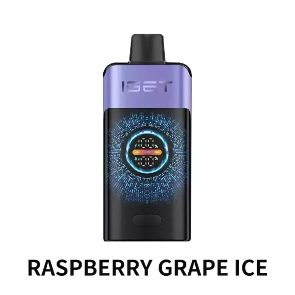 IGET ONE Raspberry Grape Ice