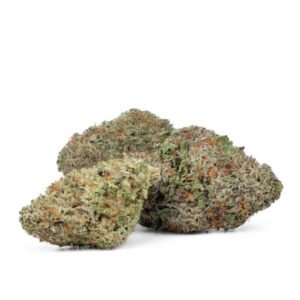 Jack-Herer-300x300-1.jpg Jack Herer