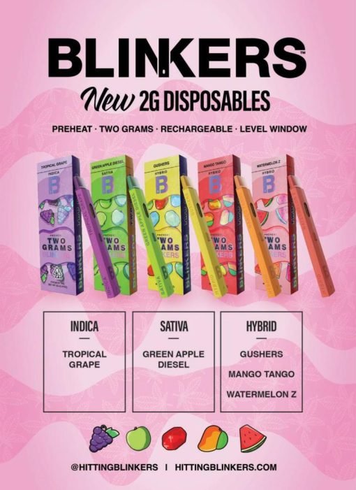 WhatsApp-Image-2024-05-03-at-2.18.40-AM-510x701-1.jpeg Blinker 2g disposable New