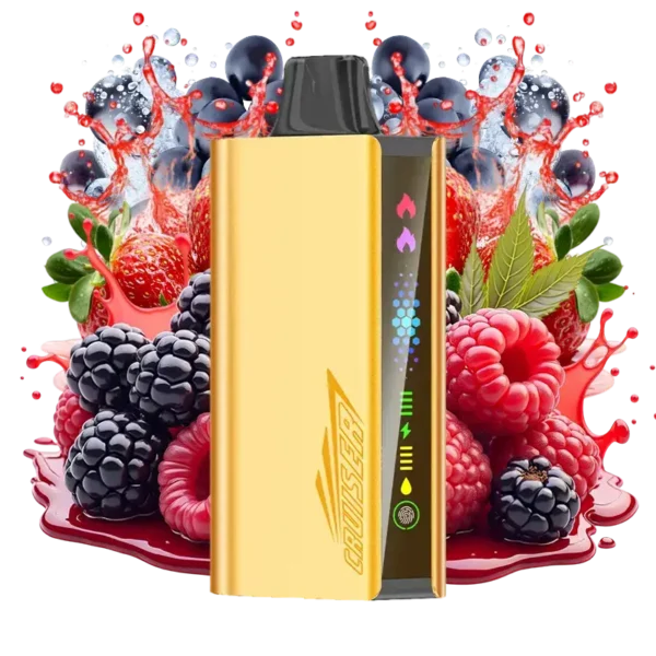 JNR Cruiser Quadruple Berry