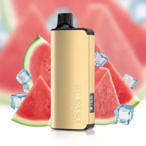 imgi_31_alibarbar-ingot-9000-puffs-watermelon-ice.webp Alibarbar Ingot 9000 Puffs-Watermelon-Ice