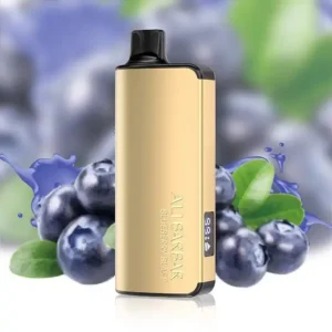 imgi_35_alibarbar-ingot-9000-puffs-blueberry-blast.webp Alibarbar Ingot 9000 Puffs-Blueberry-Blast
